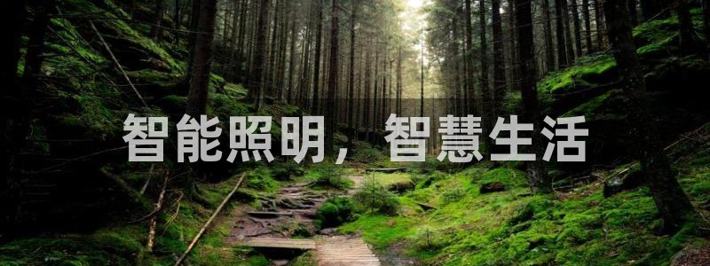 云顶国际钱取不出来