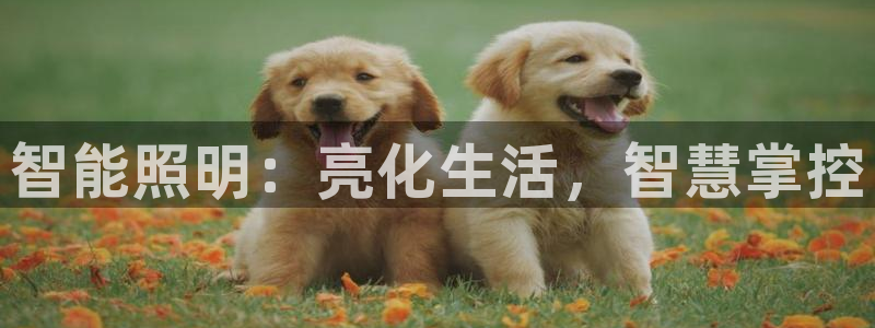 淮北云顶国际俱乐部招聘