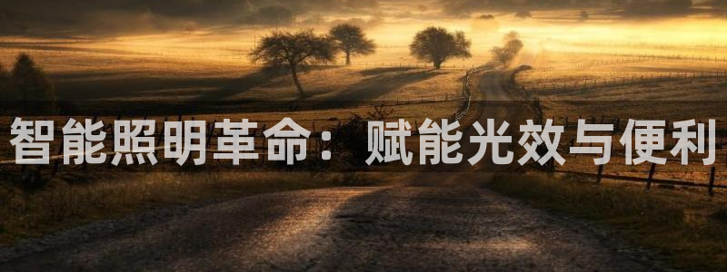 云顶手游国际服账号