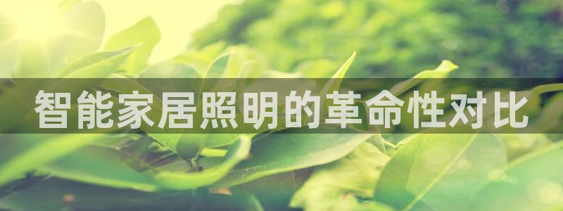 北大街云顶国际酒店在哪
