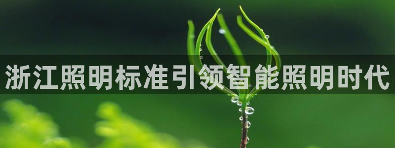 云顶国际怎么样