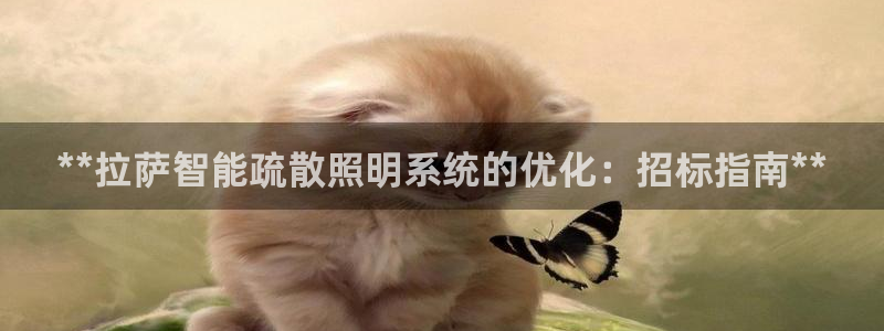 云顶国际酒店几星级的