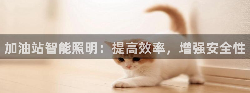 云顶国际部HKDSE