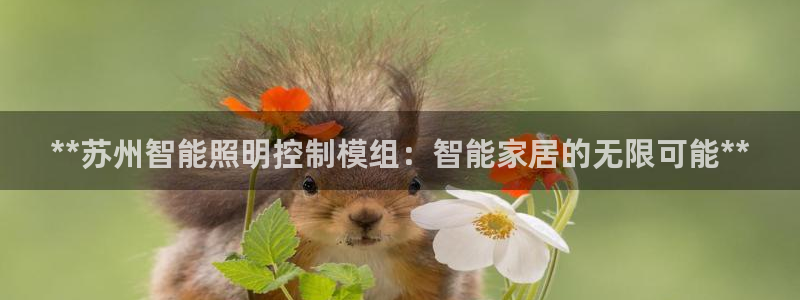 云顶国际日本