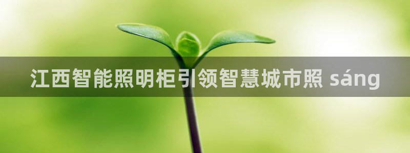 云顶国际培训中心学费