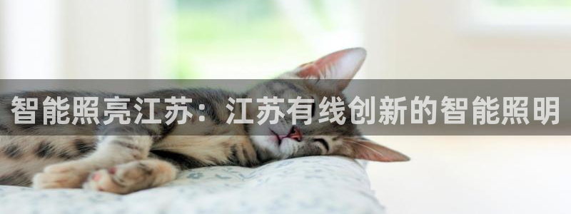 云顶国际会所电话