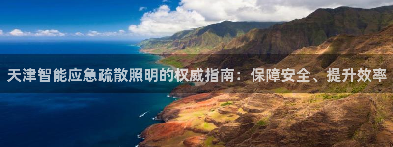 云顶国际是做什么的