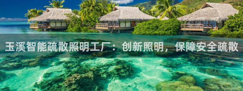 云顶t00
