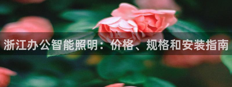 云顶国际app官网下载安装