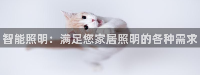 云顶集团app免费下载