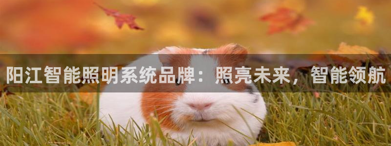 云顶国际app免费下载安卓