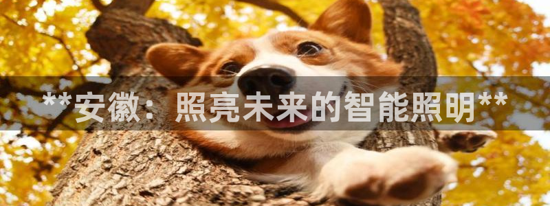 40081122云顶