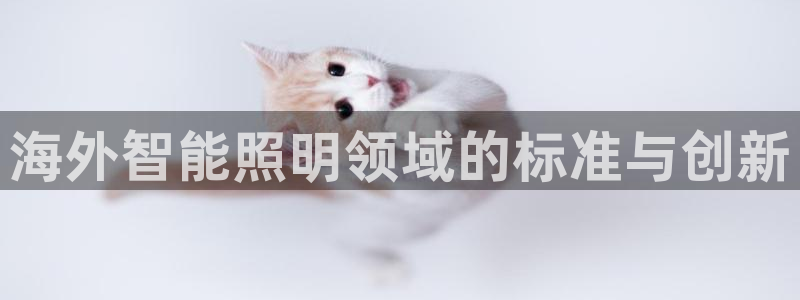 云顶国际集团发展有限公司国内项目总经理