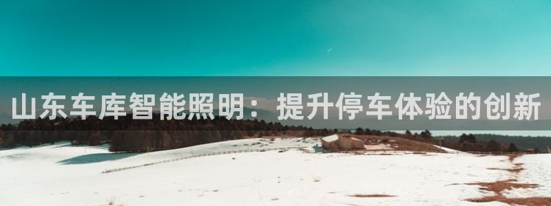 云顶集团有限公司简介概况