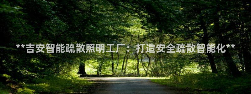 云顶国际服服务端错误
