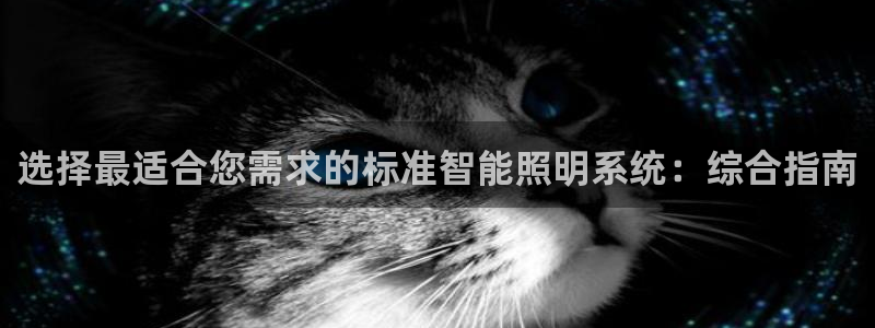云顶国际服联机