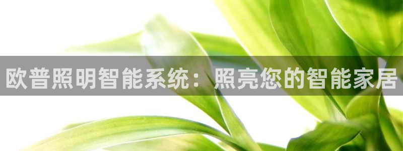 云顶国际是做什么的公司