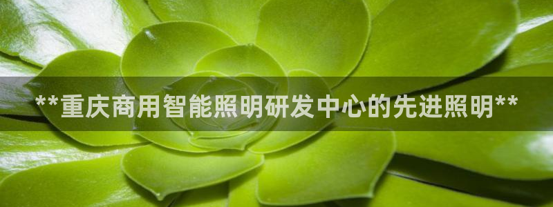 云顶集团老板是谁