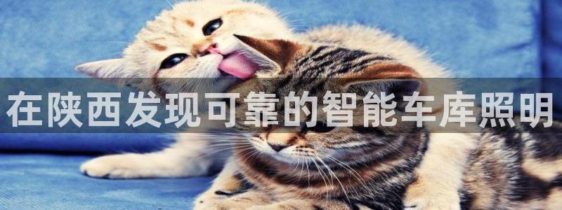 云顶集团简介和历史