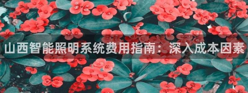云顶国际app官网