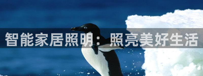云顶国际投资有限公司