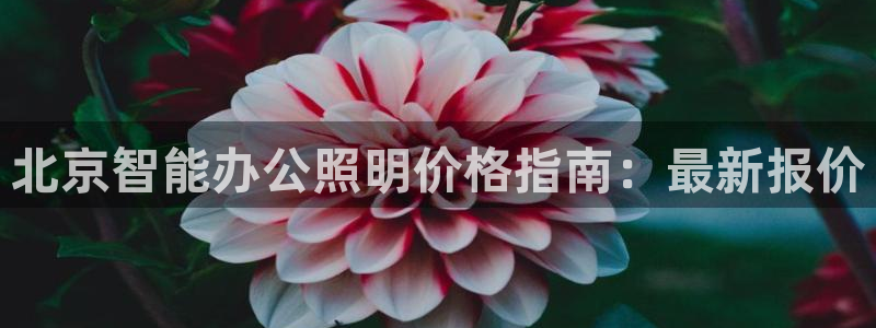 云顶集团有限公司招聘