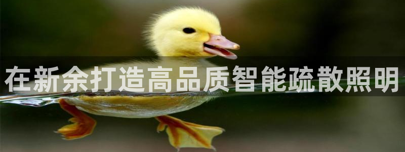 云顶集团