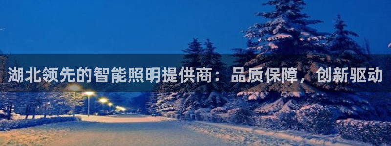 云顶国际怎么进不去了