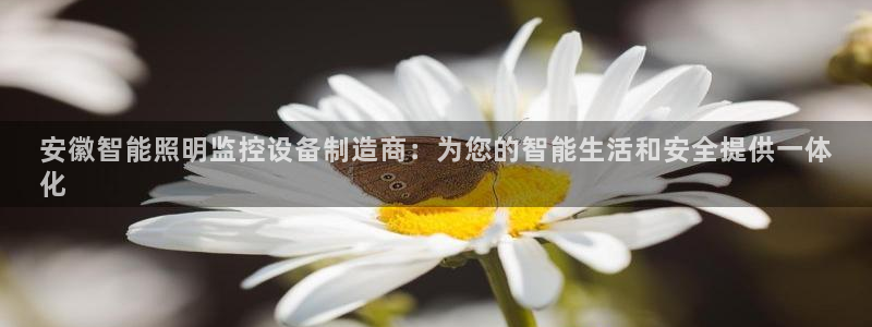 2322云顶