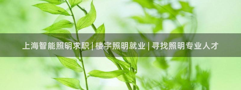 云顶国际酒店老板叫什么