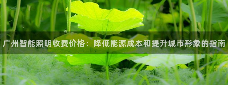 云顶集团有限公司
