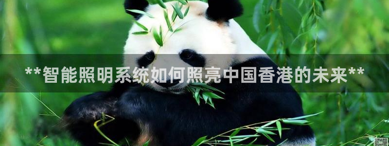 云顶国际服名字不可用