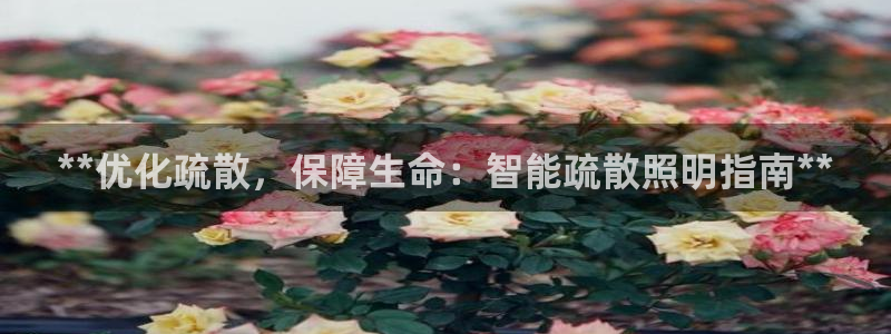 云顶国际服s11什么时候上线