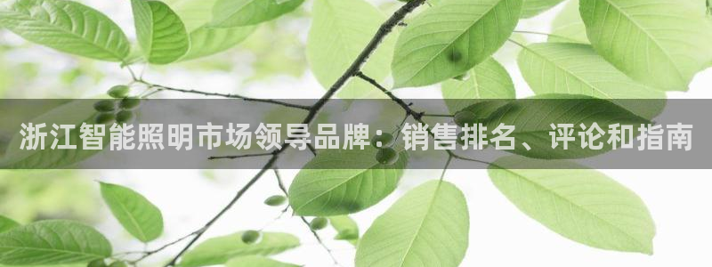 云顶国际app官方下载安装苹果
