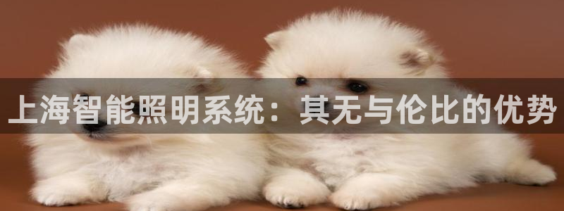 云顶国际高中d s e班学费多少