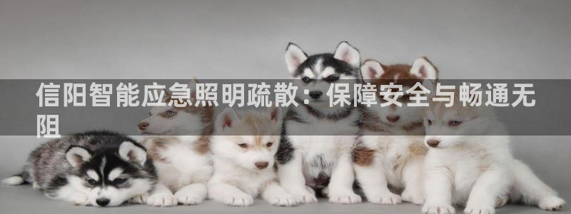 云顶集团董事长林东简历图片