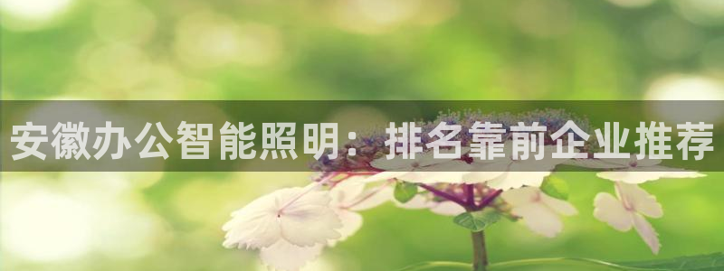 云顶国际中国官方网站入口