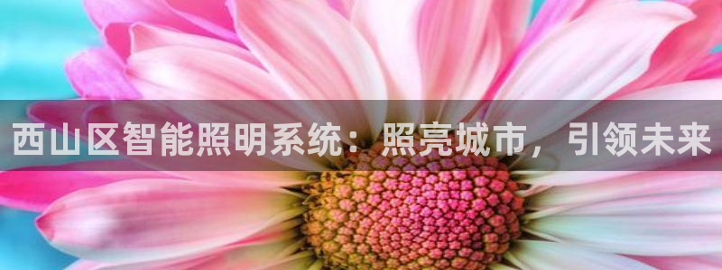 云顶集团游戏网站