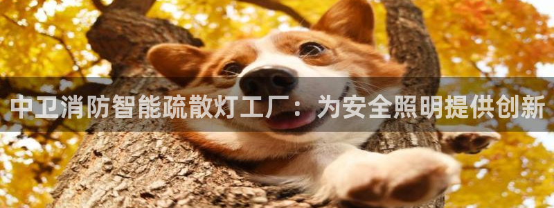 云顶国际官方网站下载