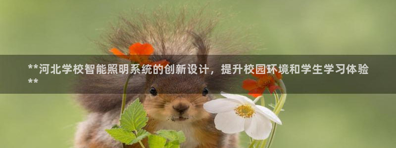 2020云顶