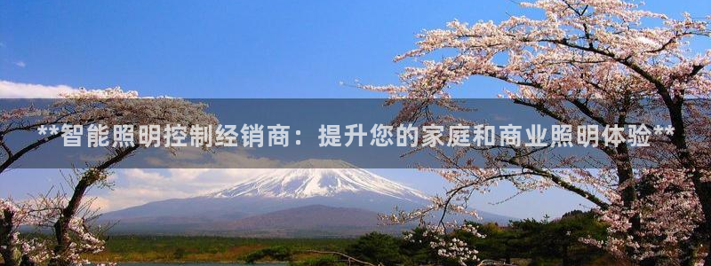 云顶国际集团app