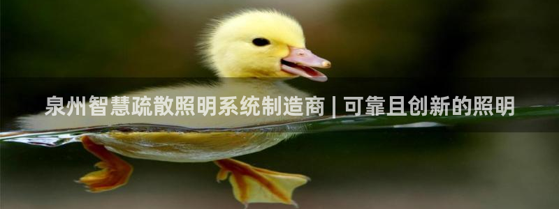 云顶国际宴会中心怎么样
