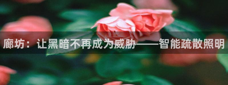国际服端游云顶在哪下载