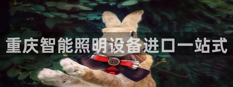 云顶集团网站多少钱一个