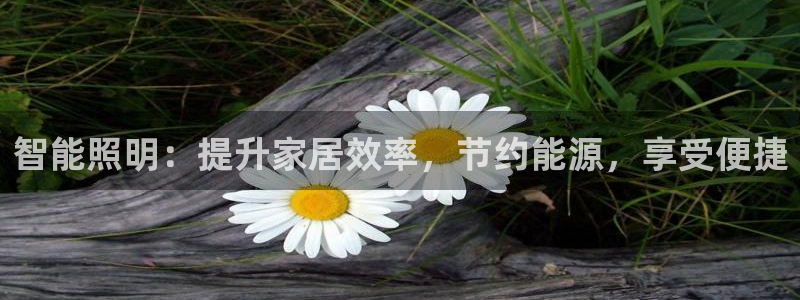 云顶集团简介和历史