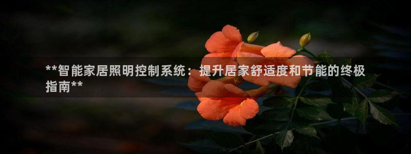 云顶国际酒店老板是谁