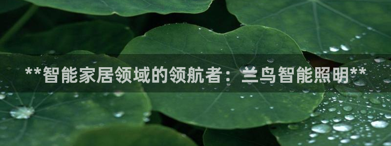 云顶国际旅行社官网