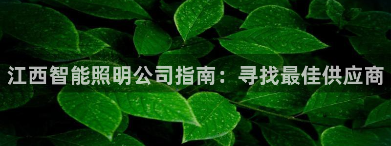 云顶国际服有中文吗