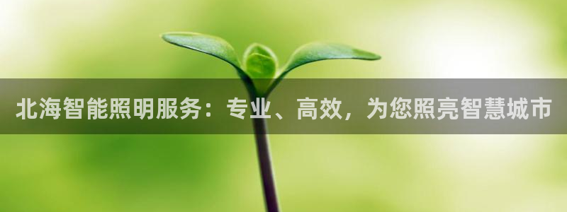 云顶国际唯一官网