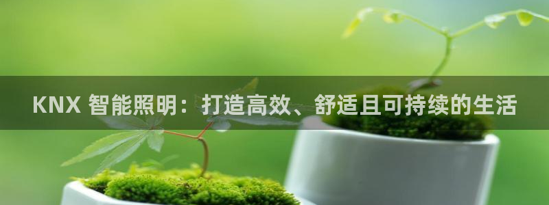 云顶集团在哪上市